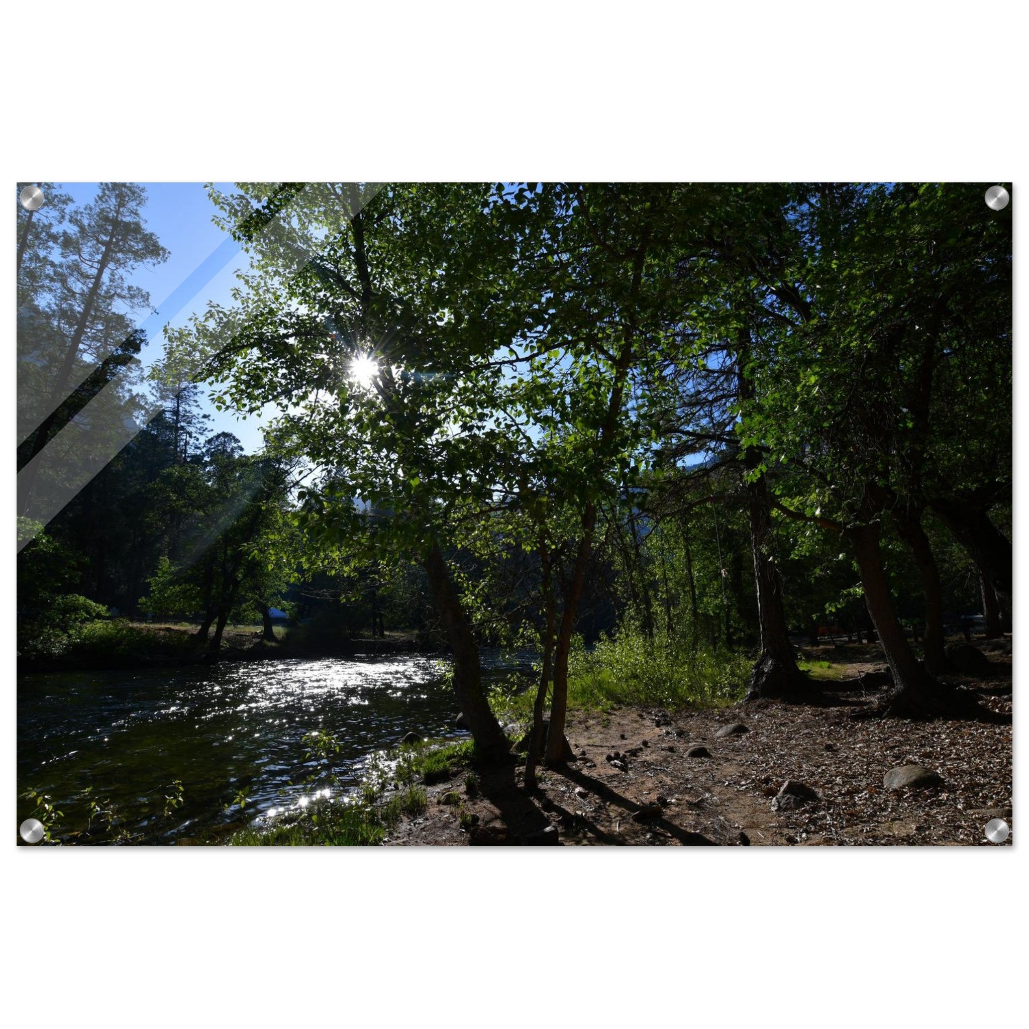 058b7f89-e0d6-46f2-a760-afea52f922fa