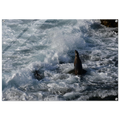 146905b8-1e47-4fc7-b116-b65ceea89948