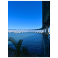 256983f8-cc7e-49cf-8fc3-e03a45664991