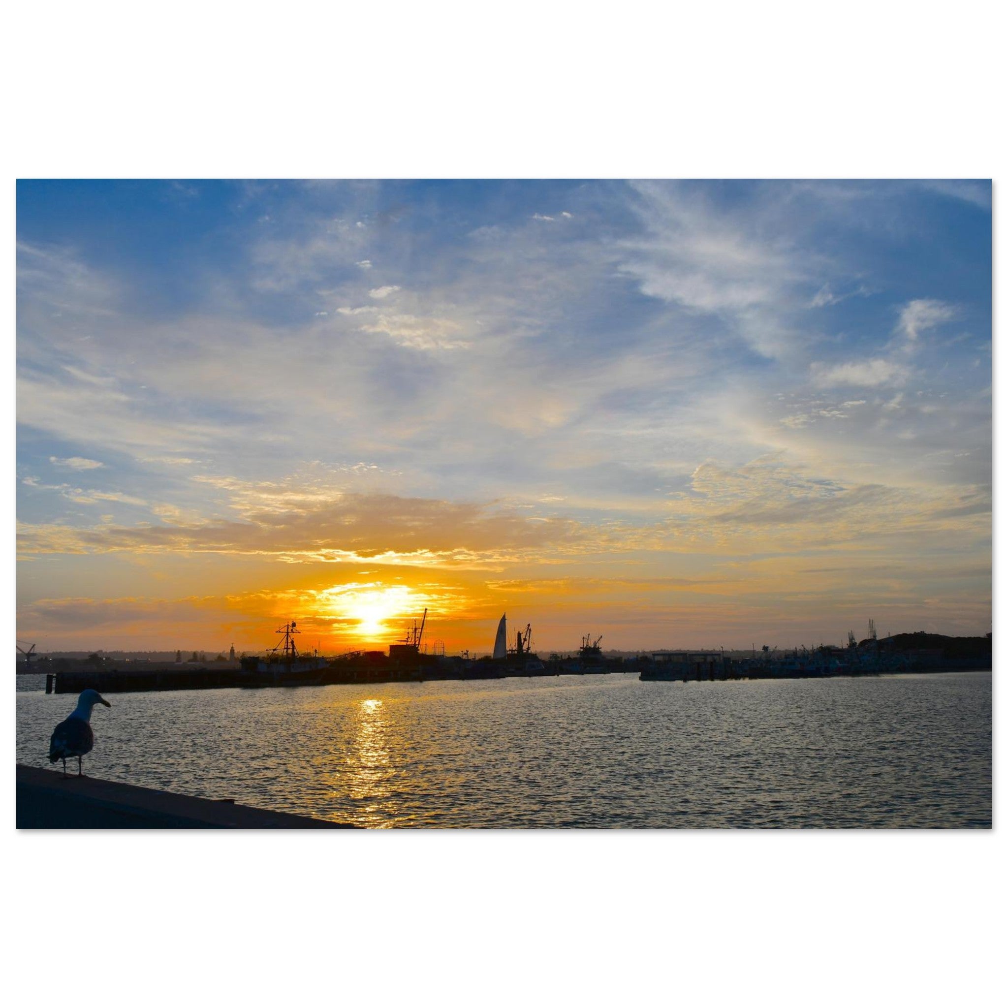 4fec87c4-ec80-439e-9e60-eac428d2ec17