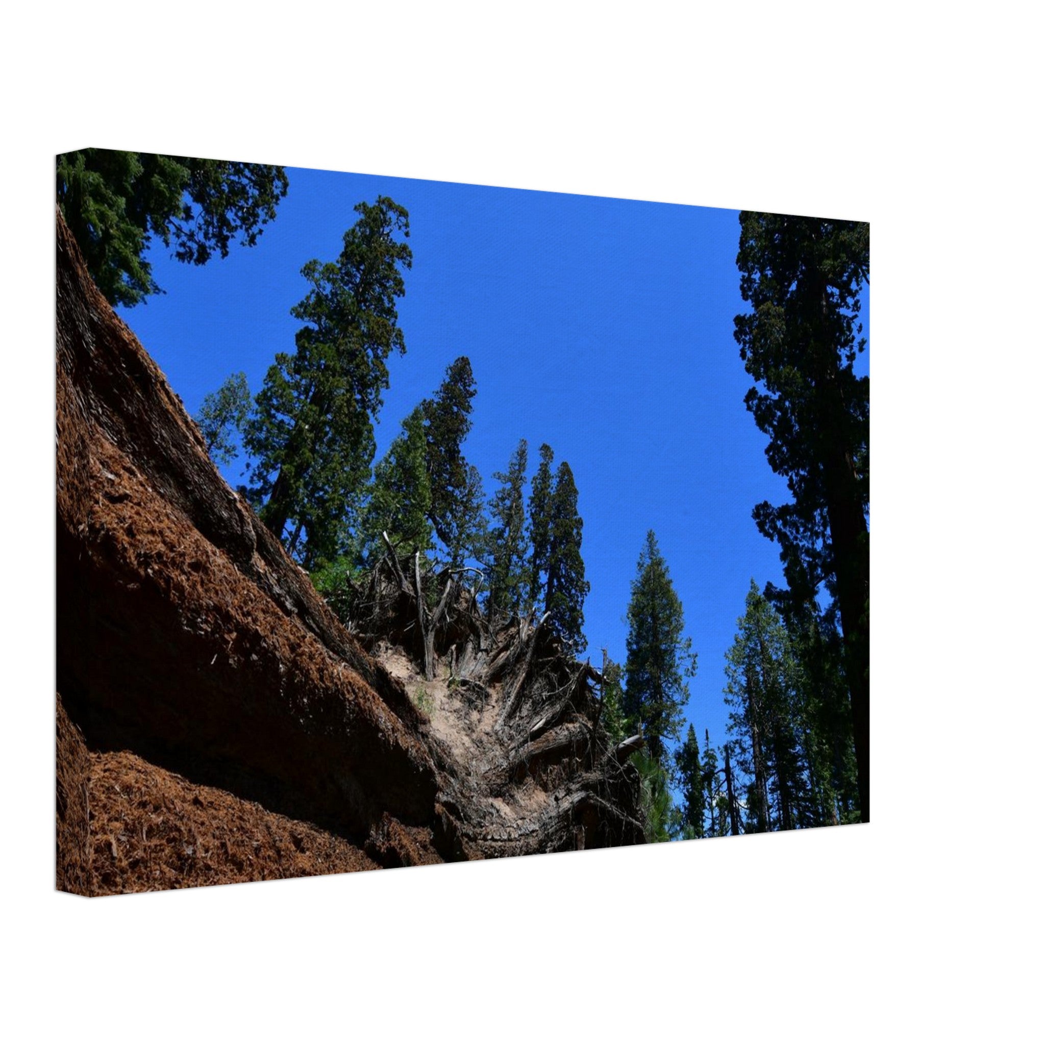 5fb4d3f6-4d0c-4505-85d8-62895ce70957