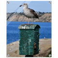 7db79464-a3e5-4eb3-9503-3ae882c43e01
