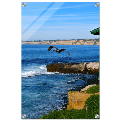 85581507-7beb-46bb-999a-f6d5ed56789a