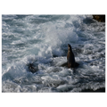 c1d2d694-d598-4e58-9224-9b7821569dc5