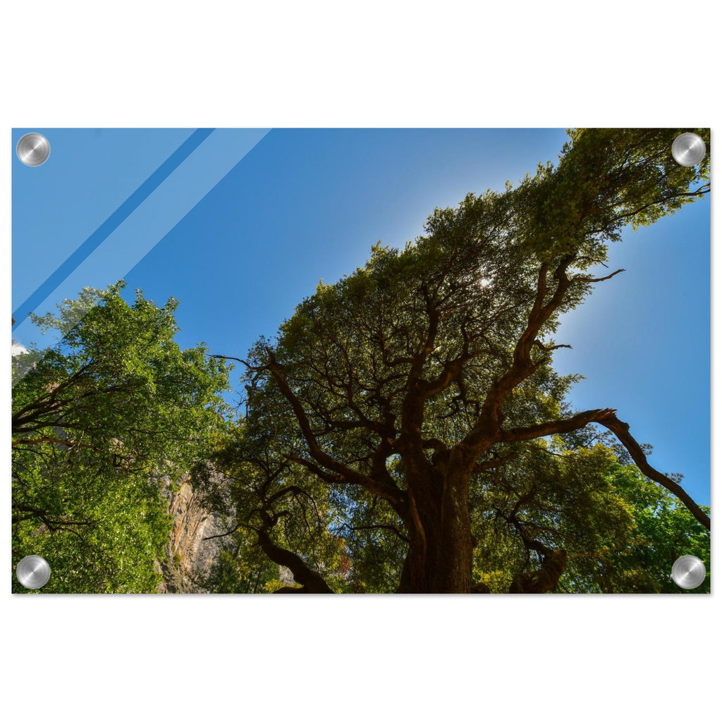 d14efcab-f0aa-4652-a601-8cf04348da65
