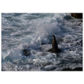 e79bc3d2-0c45-4a4e-8d60-737da79b4b4b